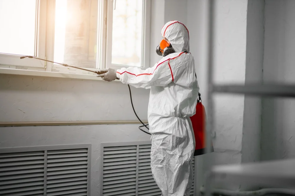 Professional mold remediation services in Montrose, MI